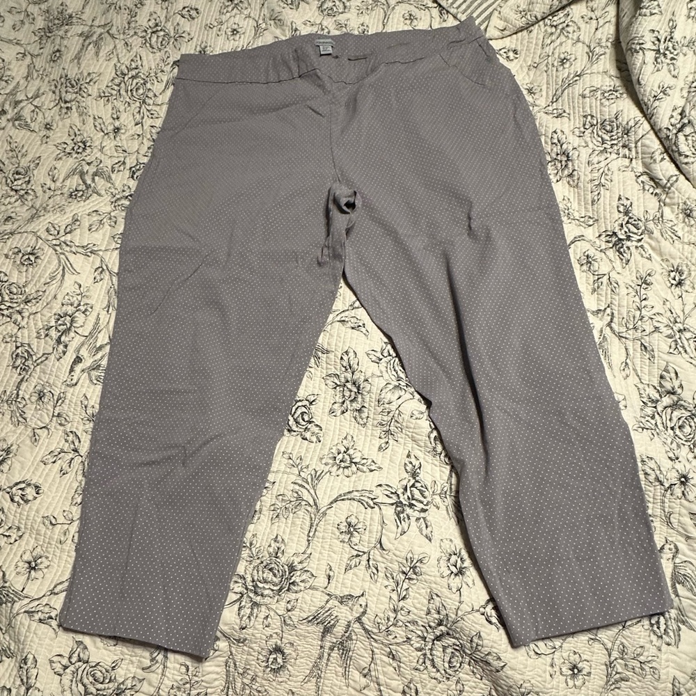 Porophrase plus size capris